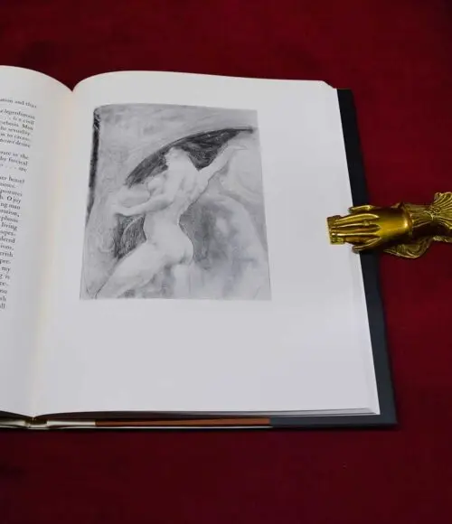 THE FOCUS OF LIFE REDUX by Austin Osman Spare (Signed Deluxe Quarter Bound in Vellum in Custom Slipcase) - Image 4