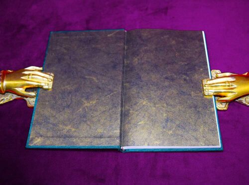 IDOLATRY RESTOR'D Witchcraft and the Image of Power by Daniel A Schulke - Bound Iridescent ivy cloth, hand marbled endpaper deluxe limited Edition - Image 2