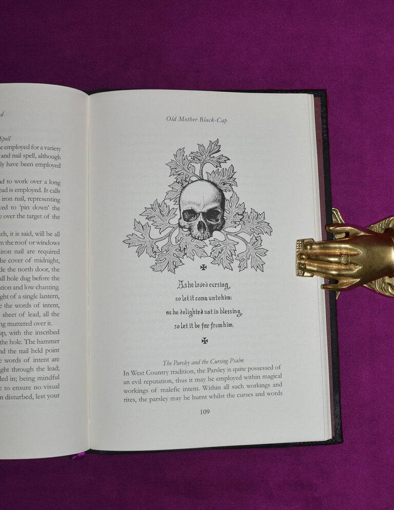 THE BLACK TOAD by Gemma Gary - Deluxe Goat and Toad Bound in Custom Slipcase - Image 3