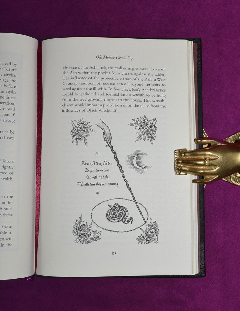 THE BLACK TOAD by Gemma Gary - Deluxe Goat and Toad Bound in Custom Slipcase - Image 4