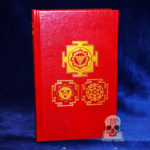 TANTRIC PHYSICS vol. 1 & 2 in one volume by Craig Williams - Leather Bound Collector's Limited Edition Hardcover