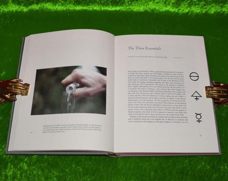 THE GREEN BOOK by Heliophilus (Limited Edition Hardcover) - Image 3