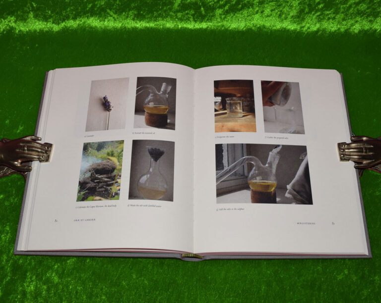 THE GREEN BOOK by Heliophilus (Limited Edition Hardcover) - Image 5
