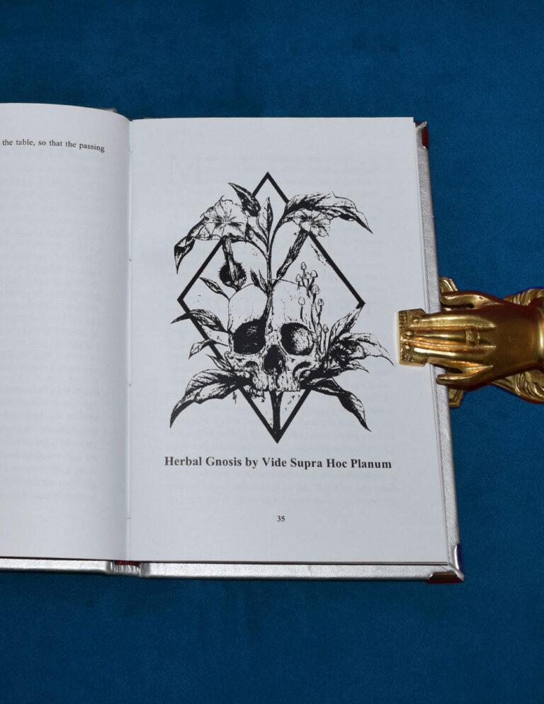 SABBATICA "Gravesongs & Herbal Gnosis" Vol VII Deluxe Edition with Multiple Authors - Deluxe Bound in Grey Leather, CD and Altar Cloth - Image 4