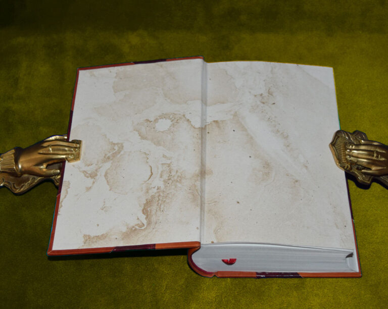 A SUGGESTIVE INQUIRY INTO THE HERMETIC MYSTERY by Mary Anne Atwood - Custom Bound Leather Bound Facsimile Edition - Image 2