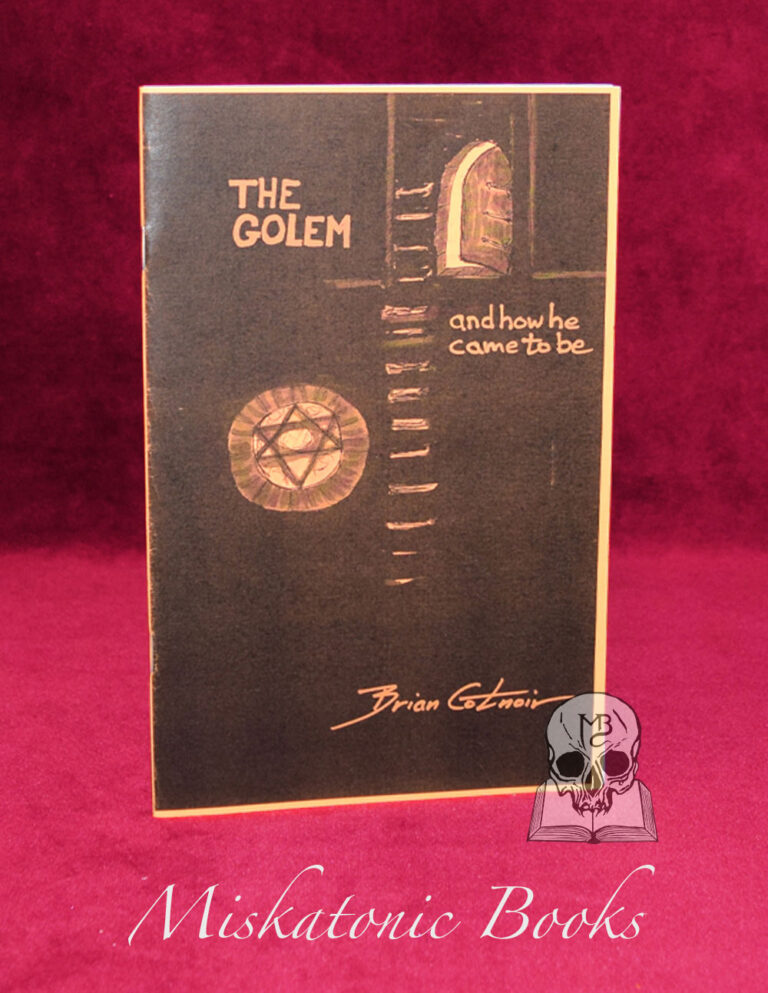 The Hermetic and Alchemical Zines of Brian Cotnoir - 7 Alchemical Zines in Slipcase - Image 10