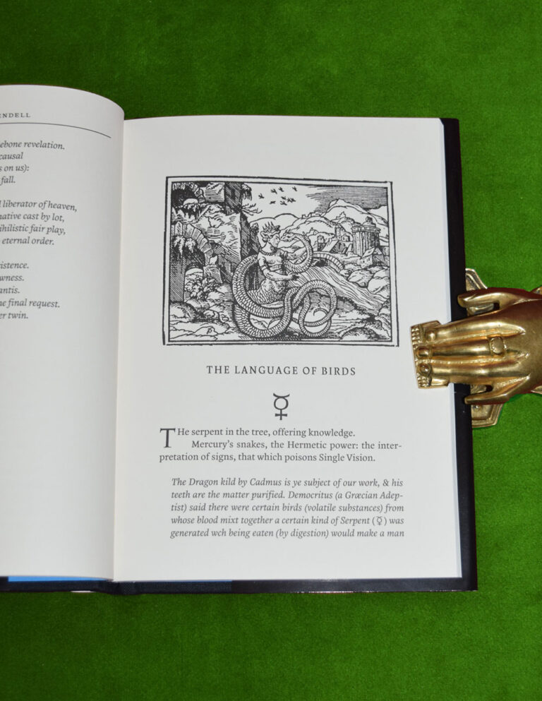 THE LANGUAGE OF BIRDS by Dale Pendell - 2nd Printing Limited Edition Hardcover - Image 3