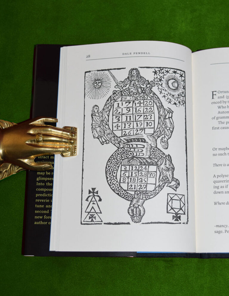 THE LANGUAGE OF BIRDS by Dale Pendell - 2nd Printing Limited Edition Hardcover - Image 2
