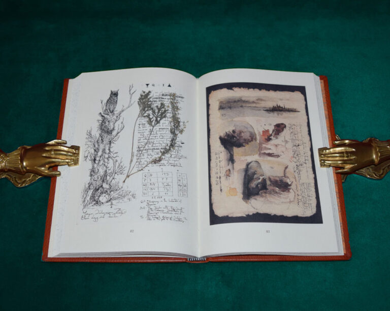 The Book of Q’ab iTz by David Herrerias - Deluxe Leather Bound Somatic Edition - Image 5