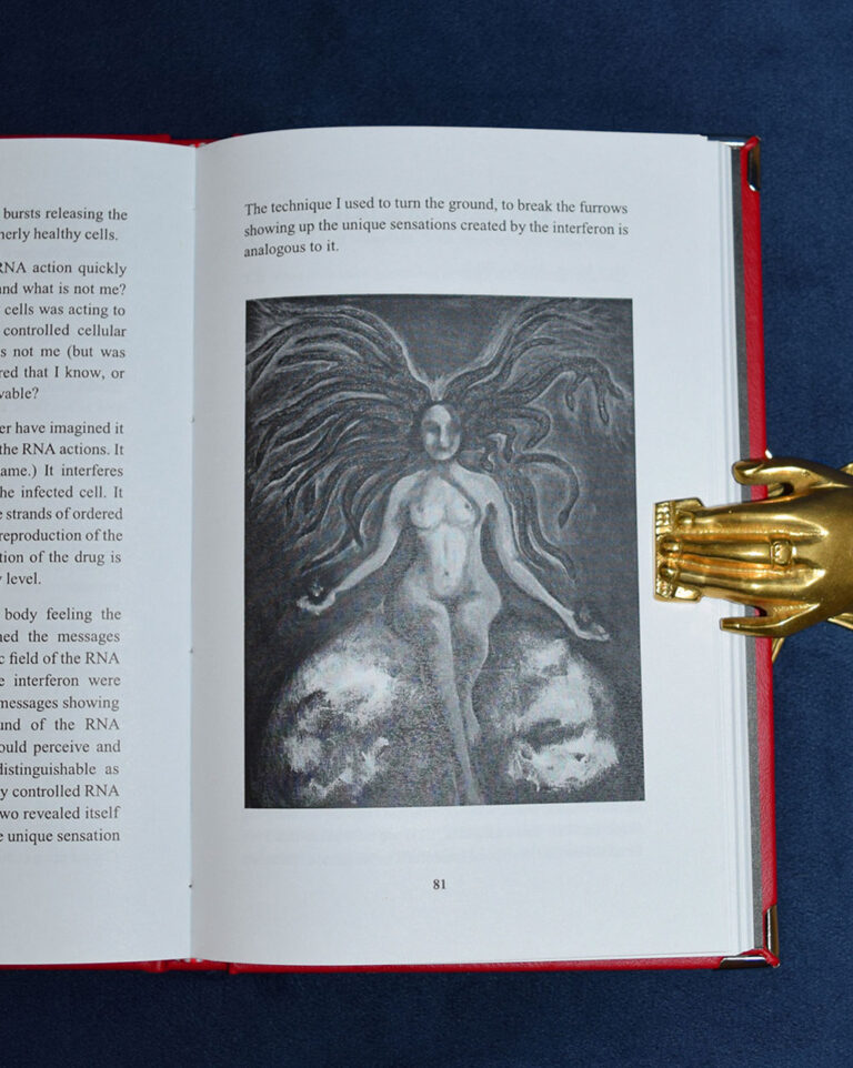 GATHERING DARKNESS (TYPHONIAN COMPENDIUM) by Linda Falorio - Limited Edition Hardcover with CD - Image 5