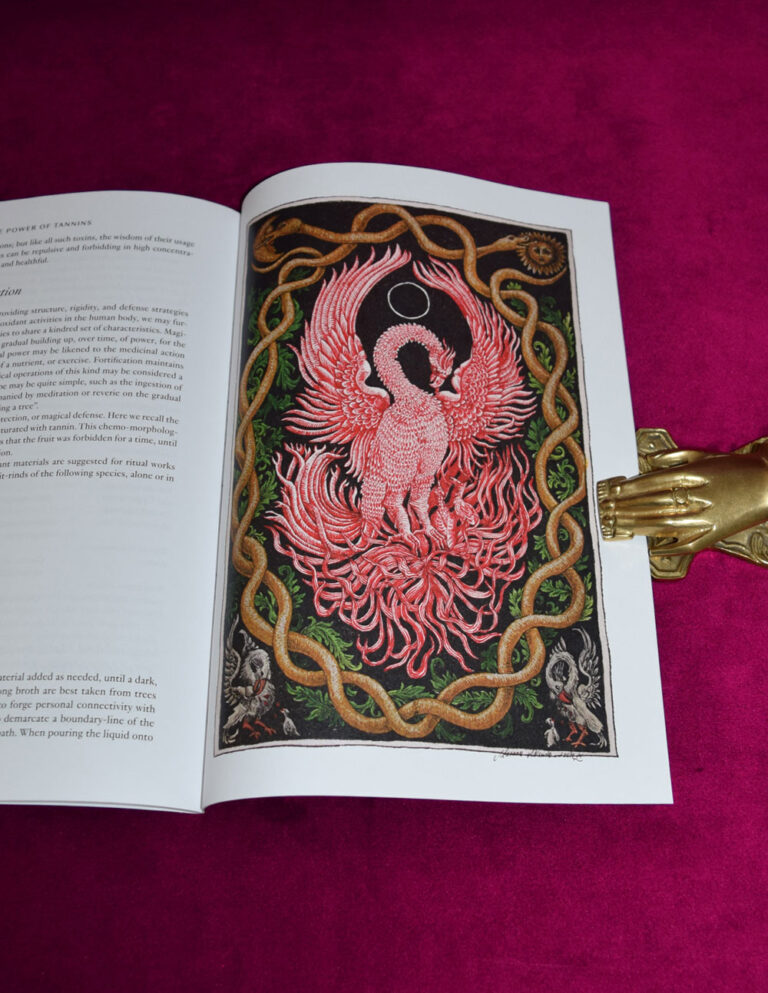 WYRD Vol. V Summer Solstice, 2021 (Perfect Bound Limited Edition Paperback) - Image 6