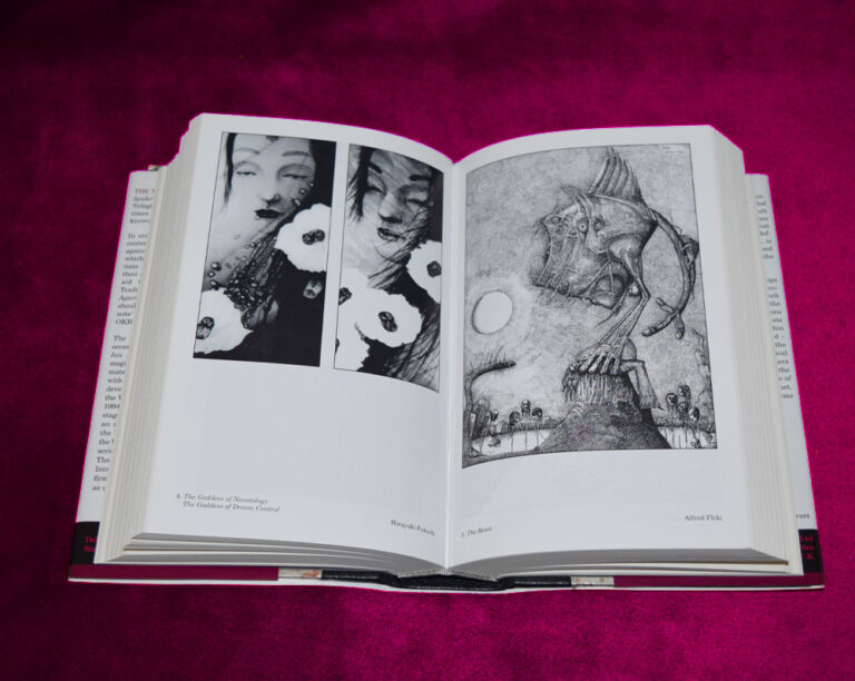 THE NINTH ARCH by Kenneth Grant - Signed Deluxe Quarter Bound in Leather Hardcover First Edition - Image 2