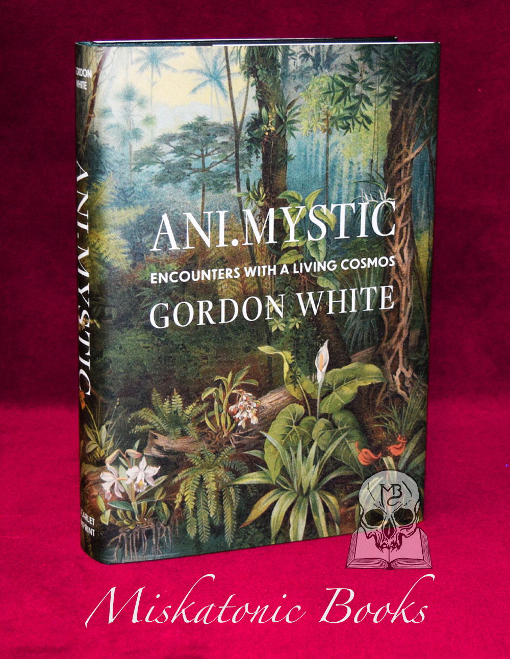 ANI.MYSTIC by Gordon White - Limited Edition Hardcover