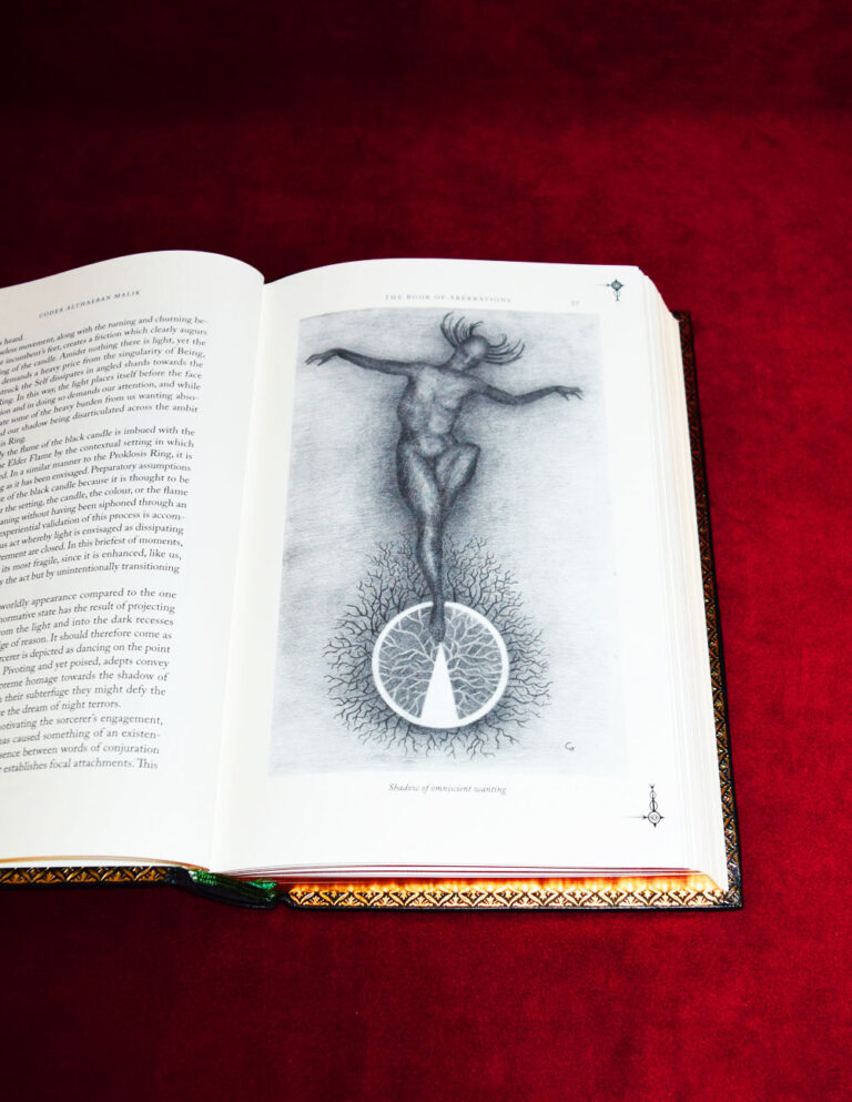 CODEX ALTHAEBAN MALIK: The Book of Aberrations by Peter Hamilton-Giles - Deluxe Leather Bound Limited Edition Hardcover - Image 5