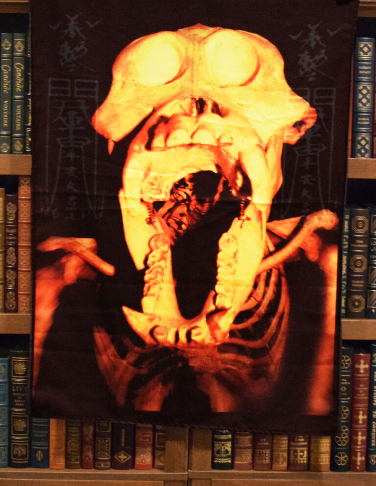 DAOIST NECROMANCY By Shawn Frix - Deluxe Leather Bound Limited Edition Hardcover includes Altar Cloth - Image 2