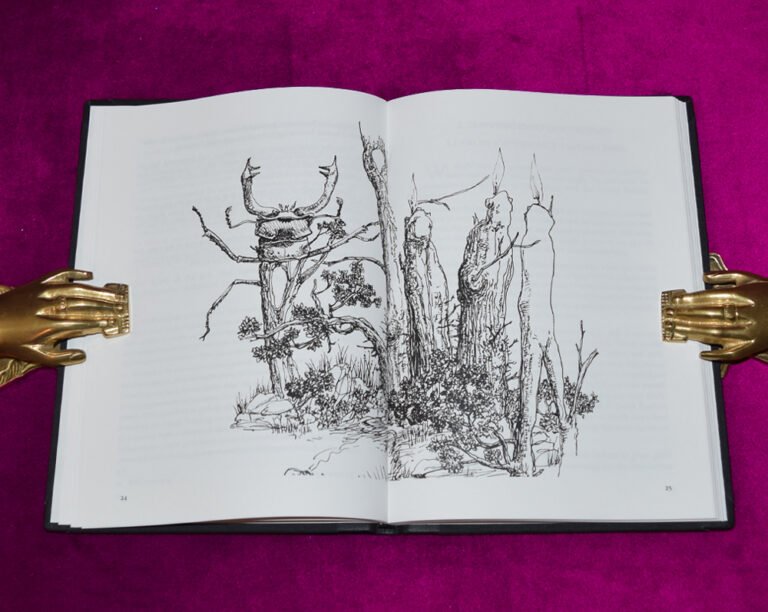 Goêtic Common Sense: An Interlude for the Inveterate Chthonic Sorcerer by Frater Acher - Deluxe Special Signed,  Hand Numbered Half Leather Bound Edition - Image 4
