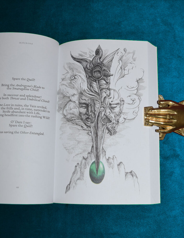 (h)Auroræ by Gabriel McCaughry - Paperback Edition - Image 4
