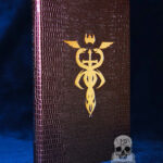 THE SWORD & THE SERPENT by David Mattichak - Limited Edition Hardcover