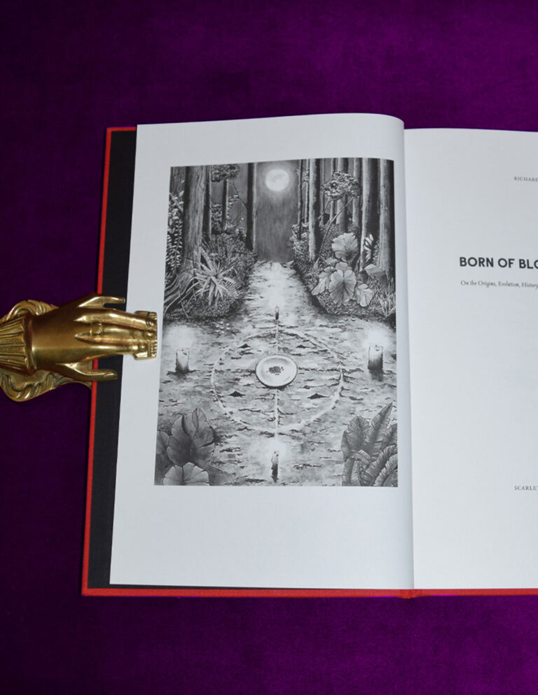 BORN OF BLOOD AND FIRE by Richard Ward - Limited Edition Hardcover - Image 2
