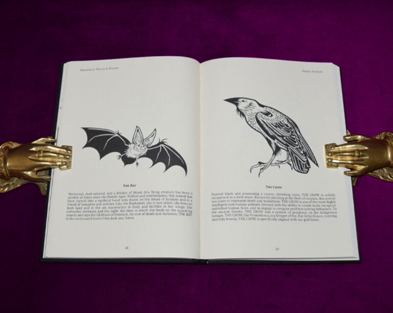 SATANISM IN THEORY AND PRACTICE by Evyn Aytch - Limited Edition Hardcover - Image 3