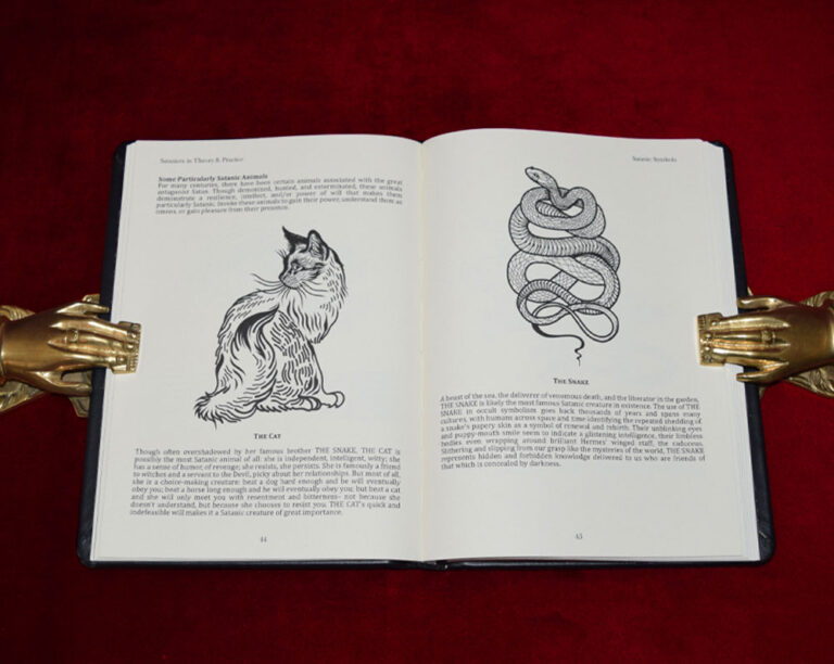 SATANISM IN THEORY AND PRACTICE by Evyn Aytch - Deluxe Leather Bound Limited Edition Hardcover in Custom Slipcase (Coven Edition) - Image 3