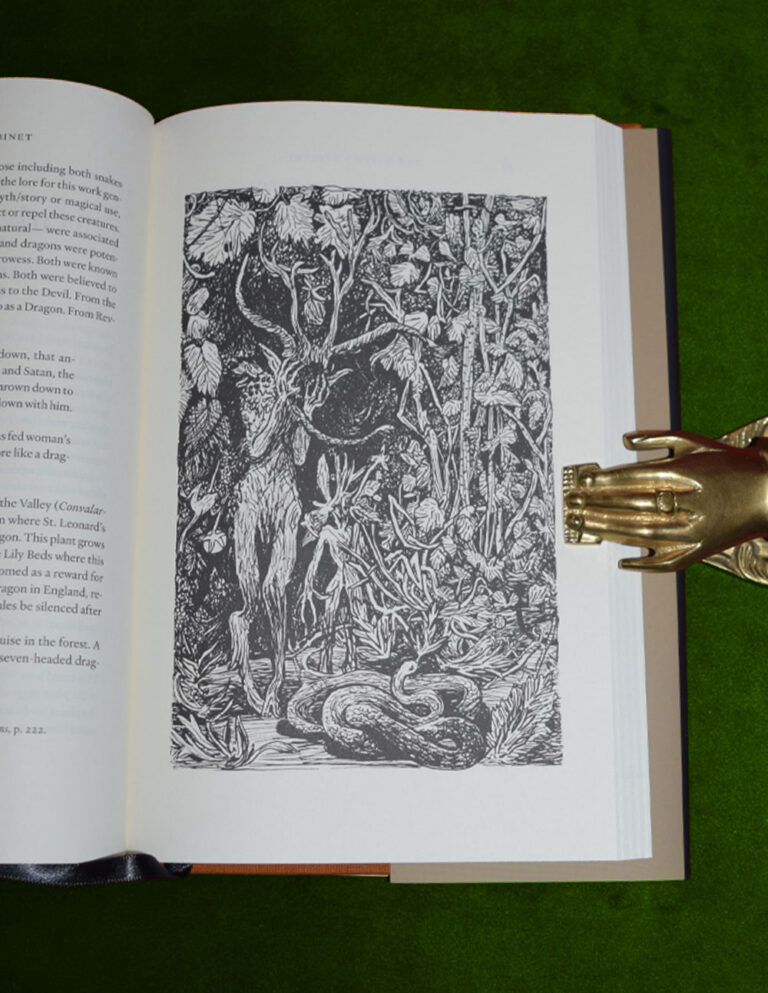 THE WITCH'S CABINET: Plant Lore, Sorcery and Folk Tradition - Limited Edition Hardcover - Image 3