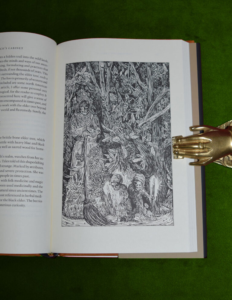 THE WITCH'S CABINET: Plant Lore, Sorcery and Folk Tradition - Limited Edition Hardcover - Image 4