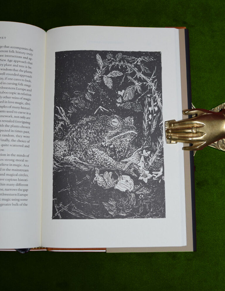 THE WITCH'S CABINET: Plant Lore, Sorcery and Folk Tradition - Limited Edition Hardcover - Image 5