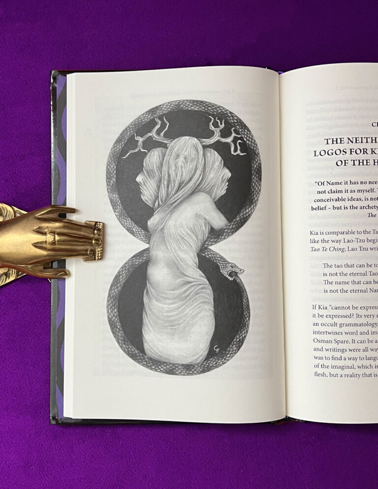 BEING & NON-BEING IN OCCULT EXPERIENCE Volume 2 by Ian C. Edwards - Limited Edition Hardcover - Image 2