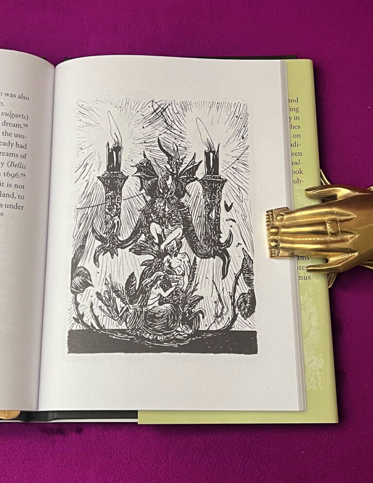 DREAM DIVINATION PLANTS IN THE NORTHERN EUROPEAN TRADITION by Corinne Boyer - Limited Edition Hardcover - Image 3