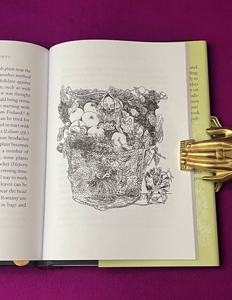 DREAM DIVINATION PLANTS IN THE NORTHERN EUROPEAN TRADITION by Corinne Boyer - Limited Edition Hardcover - Image 4