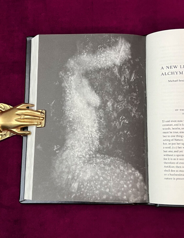 CODEX HOMUNCULI by Joseph Uccello (Deluxe Bound in Black Goat with Red Skiver) - Image 3
