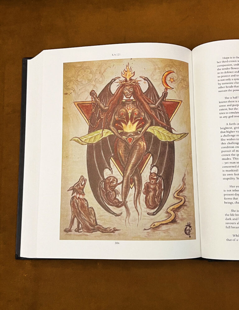 PILLARS: Volume I, Perichoresis Edition (Limited Edition Hardcover) - Image 2