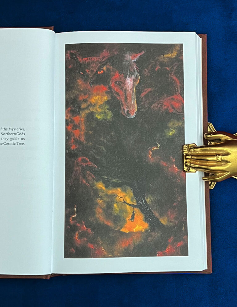 The Hanged God by Shani Oates - Collector's Edition Hardcover - Image 2