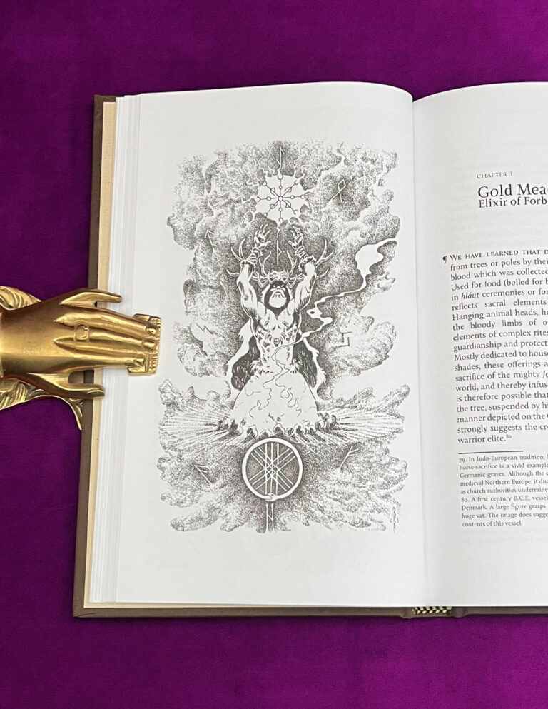 The Hanged God by Shani Oates - Standard Limited Edition Hardcover - Image 3