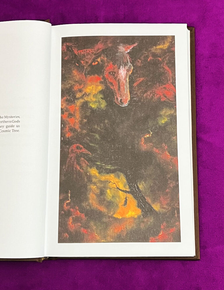 The Hanged God by Shani Oates - Standard Limited Edition Hardcover - Image 2