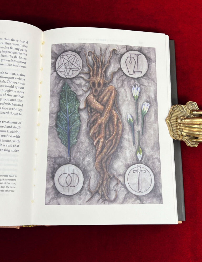 EFFIGY by Martin Duffy (Special Edition Bound in Mahogany Goat in Slipcase 1 of only 27) - Image 5