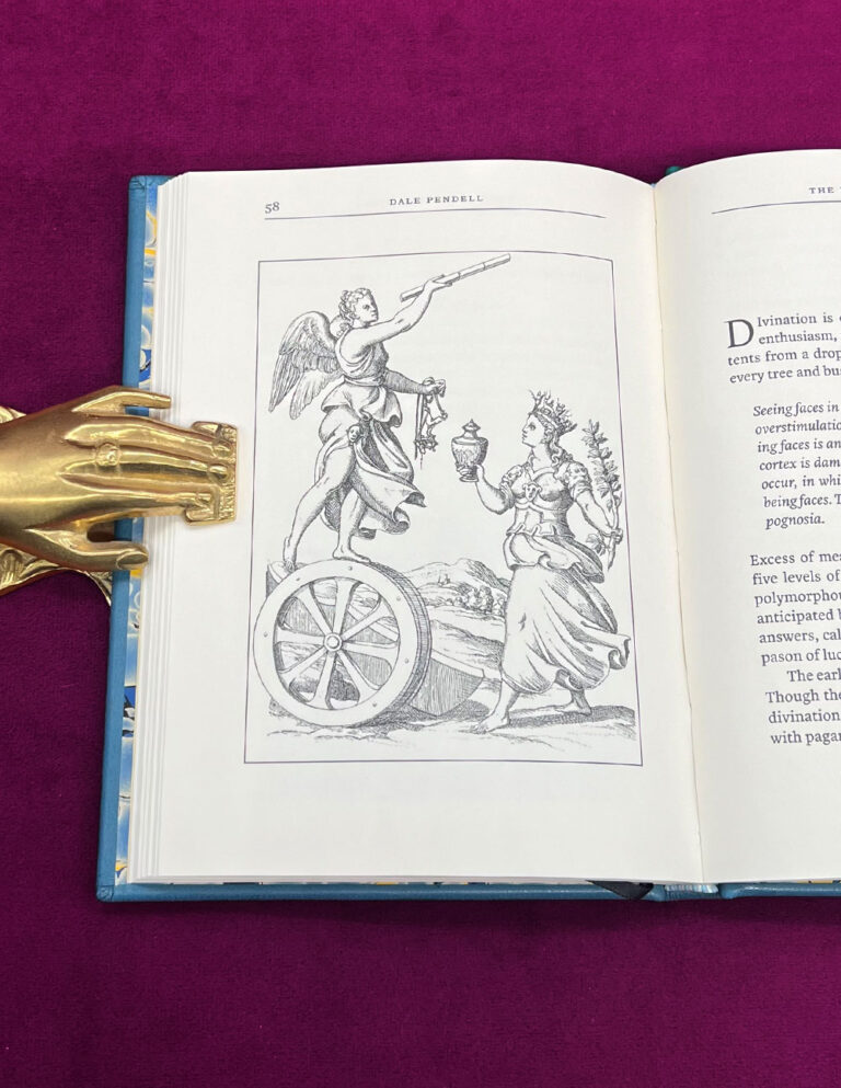 THE LANGUAGE OF BIRDS by Dale Pendell - Deluxe Leather Bound Edition in Custom Slipcase - Image 3