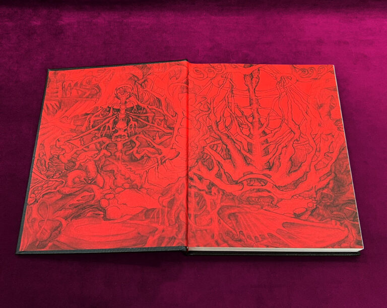 THIRTY-TWO KEYS by David Chaim Smith - Deluxe Leather Bound Limited 2nd edition with Cards - Image 2
