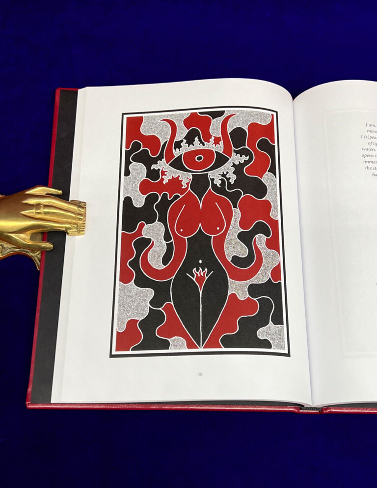 THE VULVIC TRANS-MISSIONARY by Patrick J. Larabee (Leather Bound Hardcover Edition) - Image 2