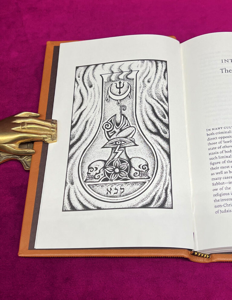 VENEFICIUM: Magic, Witchcraft and the Poison Path by Daniel A. Schulke - First Edition Hardcover Privately Bound in Leather by Nate McCall - Image 3
