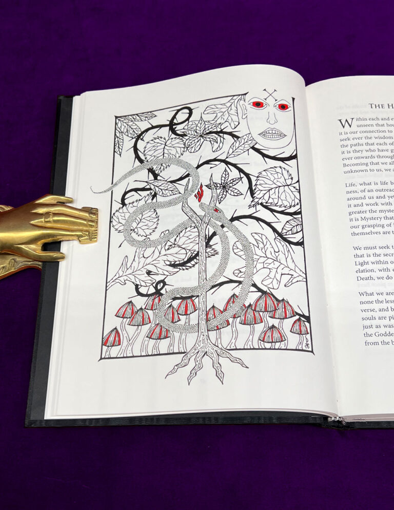 WHISPERINGS FROM THE VOID - 2nd Hardcover Limited Edition - Image 4