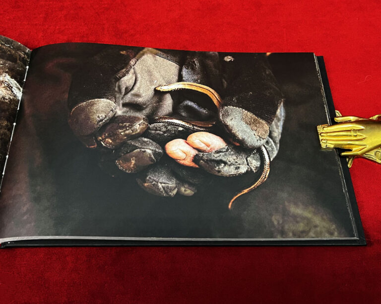 ANARCH by Gast Bouschet - Limited Edition Hardcover - Image 2
