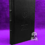 PANPARADOX by Vexior (Deluxe Leather Bound Limited Edition Hardcover True First Edition)