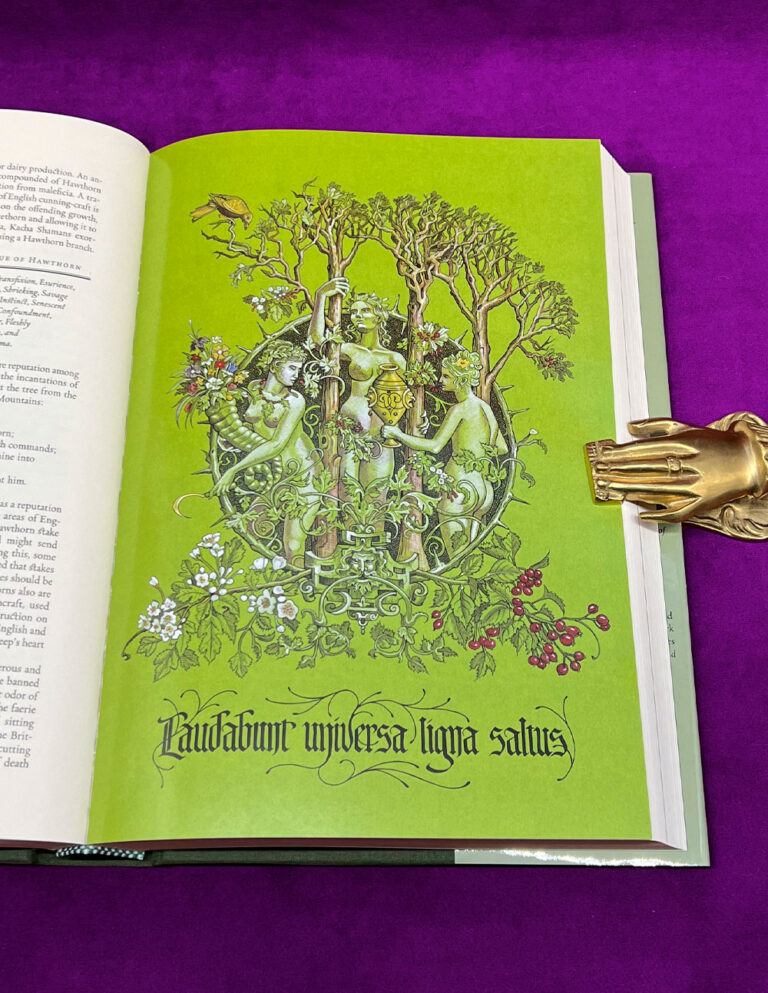 THE GREEN MYSTERIES Arcana Viridia: An Occult Herbarium by Daniel A. Schulke - Limited Edition Hardcover - Image 3