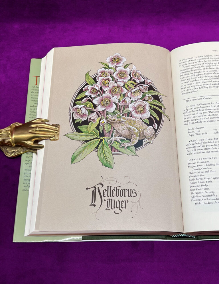 THE GREEN MYSTERIES Arcana Viridia: An Occult Herbarium by Daniel A. Schulke - Limited Edition Hardcover - Image 5