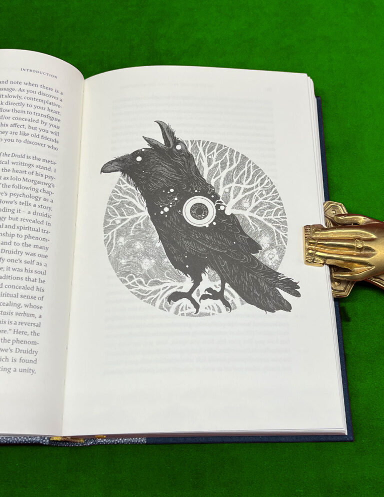A DRUID IN PSYCHOLOGIST'S CLOTHING by Ian C. Edwards, PhD - Collector's Limited Edition Hardcover - Image 2