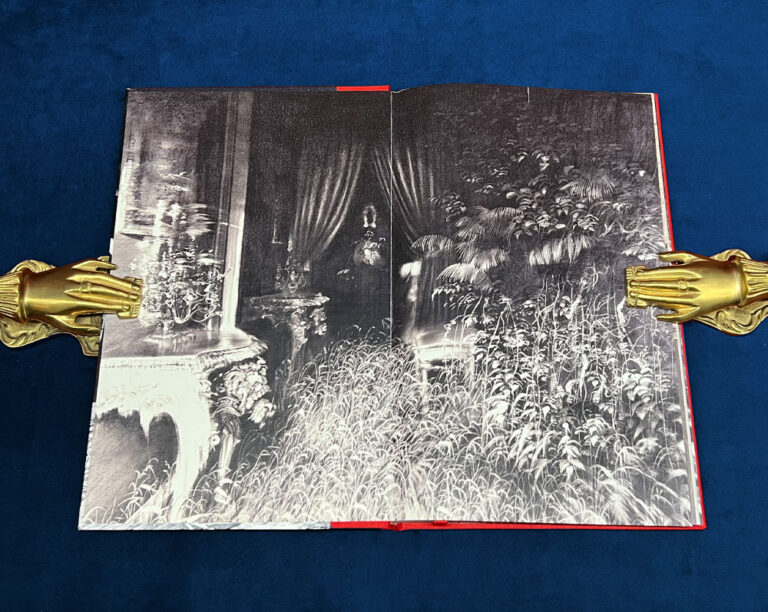 OCULUS PRAEDECESSORIS by Forrest Aguirre - Limited Edition Hardcover - Image 2
