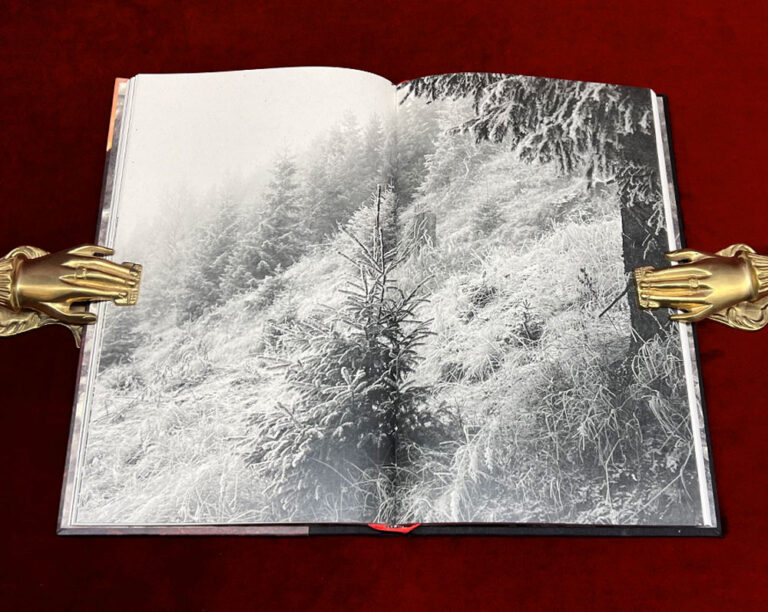 SHARDS FROM THE STARRED FORTRESS: A Collection of Verses and Memories by Martin Locker - Limited Edition Hardcover - Image 3