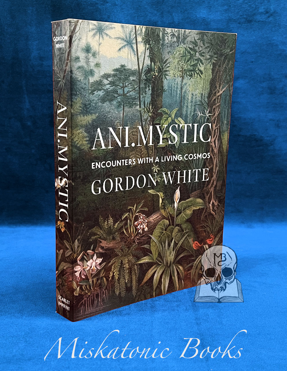 ANI.MYSTIC by Gordon White - Paperback Edition